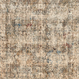 Moon Distressed Multi
