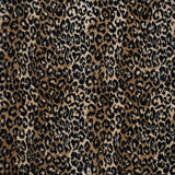 Safari II