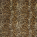 Safari II
