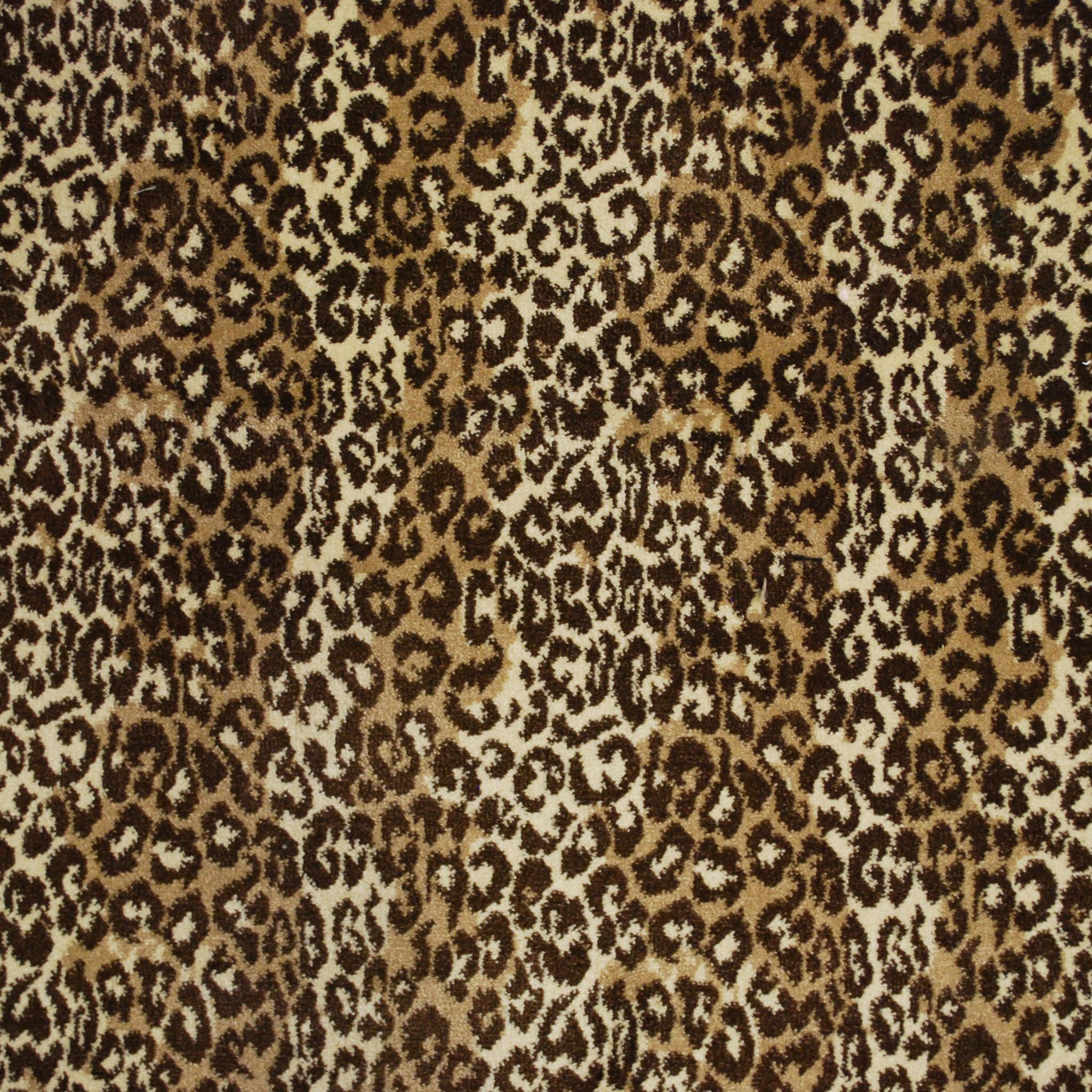 Safari II