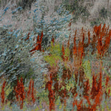 Steppe Spring