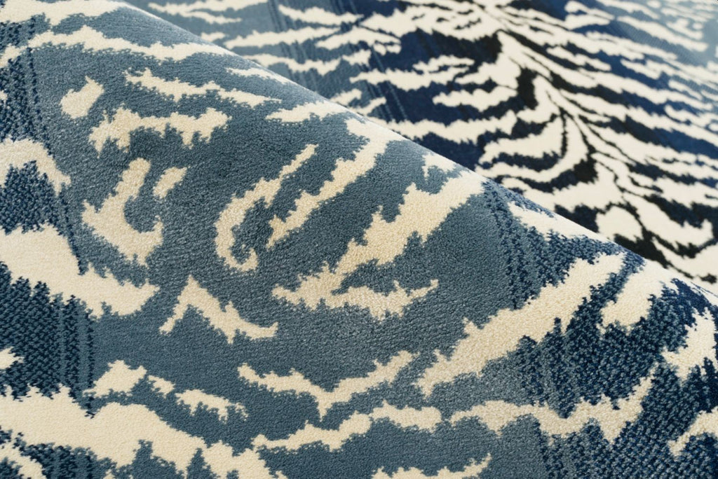 Tabby Blue
